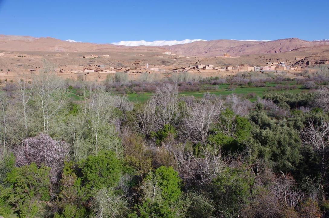 Kelaat-M'Gouna Les Jardins Du M'Goun Bed & Breakfast エクステリア 写真