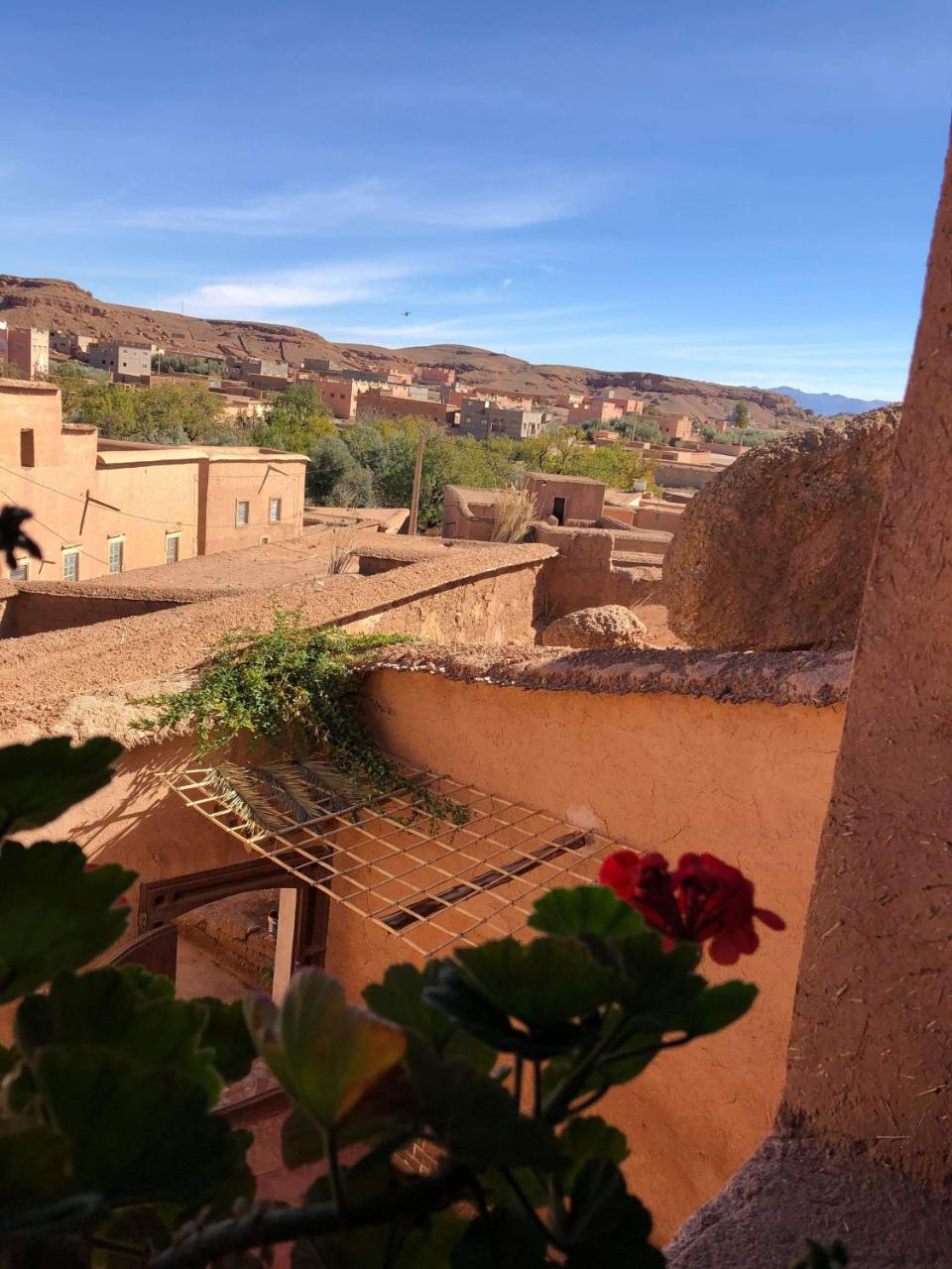 Kelaat-M'Gouna Les Jardins Du M'Goun Bed & Breakfast エクステリア 写真